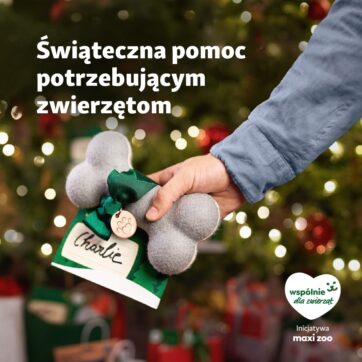 Pomagaj zwierzętom z Maxi Zoo! ð Weź udział w naszej świątecznej zbiórce, to proste! ð