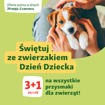 Podaruj swojemu pupilowi pyszne smaczki z okazji Dnia Dziecka! ð